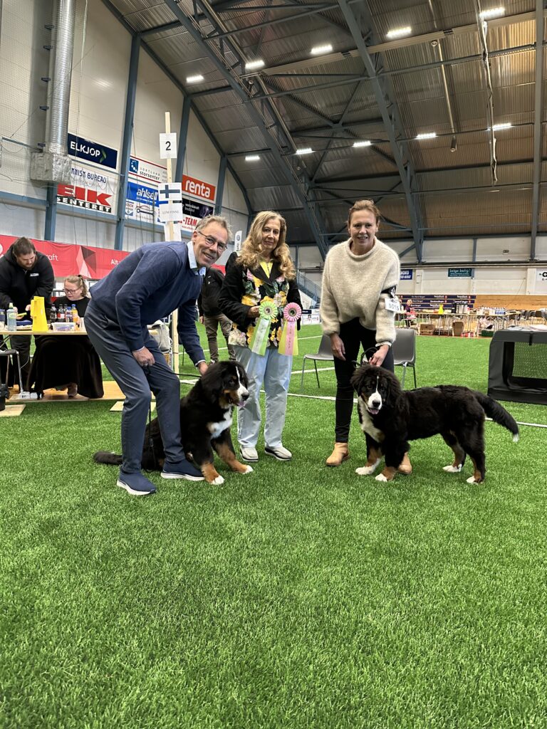 Gruppetrening med hunder hos Hundekspert og Mufasa